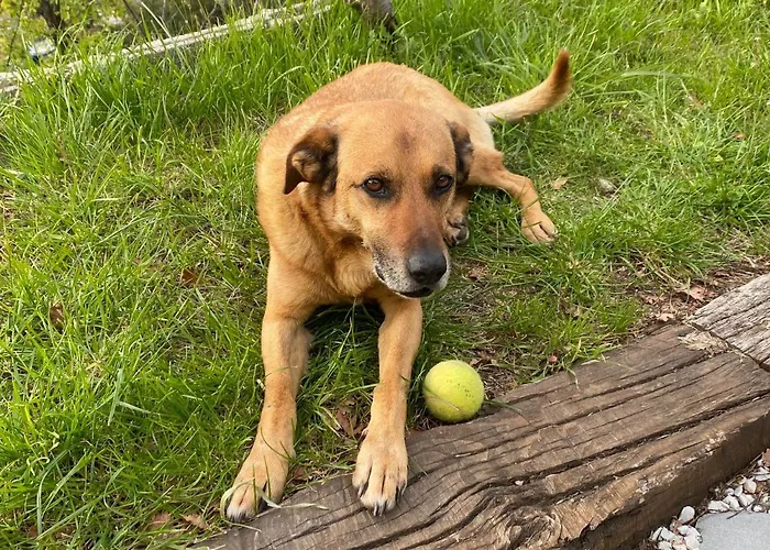 Gæstehus Finestra Tra Le Stelle Arcola